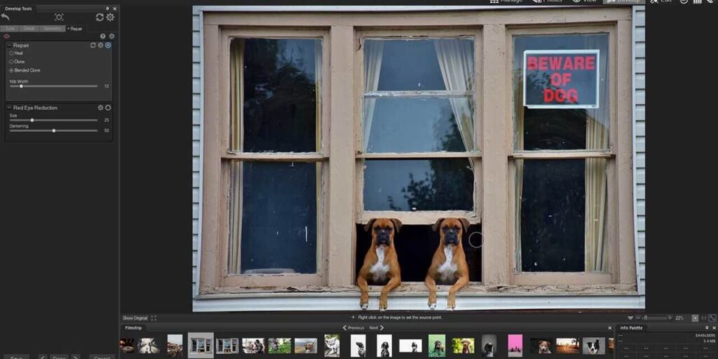 ACDSee Photo Studio Ultimate 2020 kèm Keygen - 3