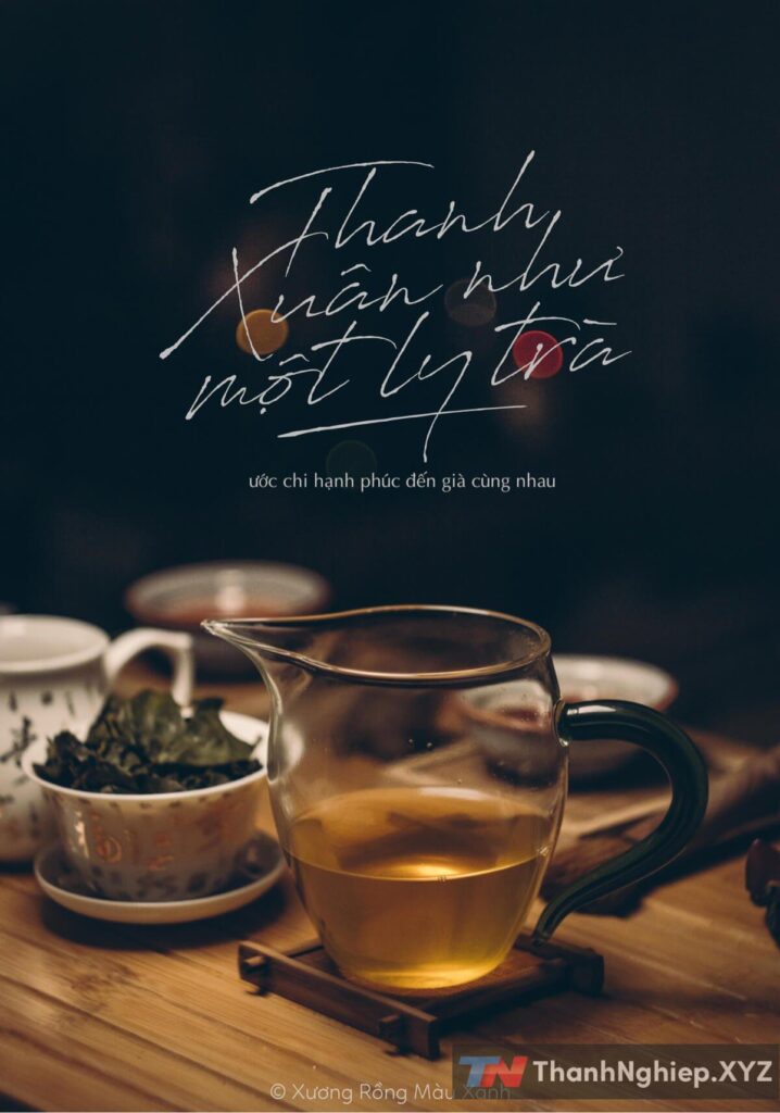 70 Font MTD Việt Hóa (P4) - 3