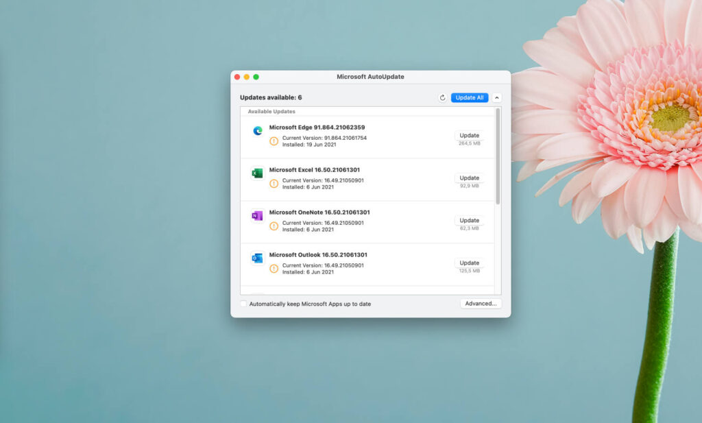 Cách xóa Microsoft AutoUpdate trên MacOS