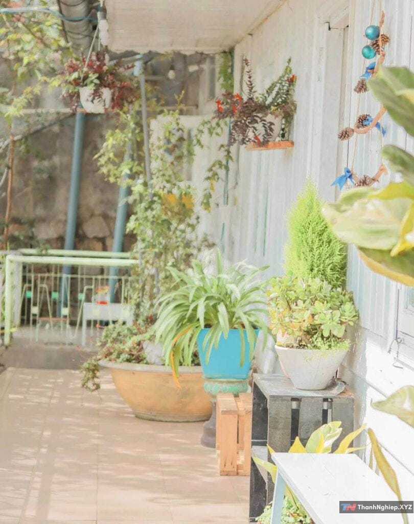 Công thức/ Preset chỉnh ảnh Đà Lạt xanh mộng mơ - 7
