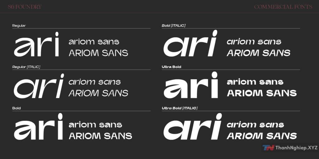 Font Ariom Sans Full - Hỗ trợ tiếng Việt - 3