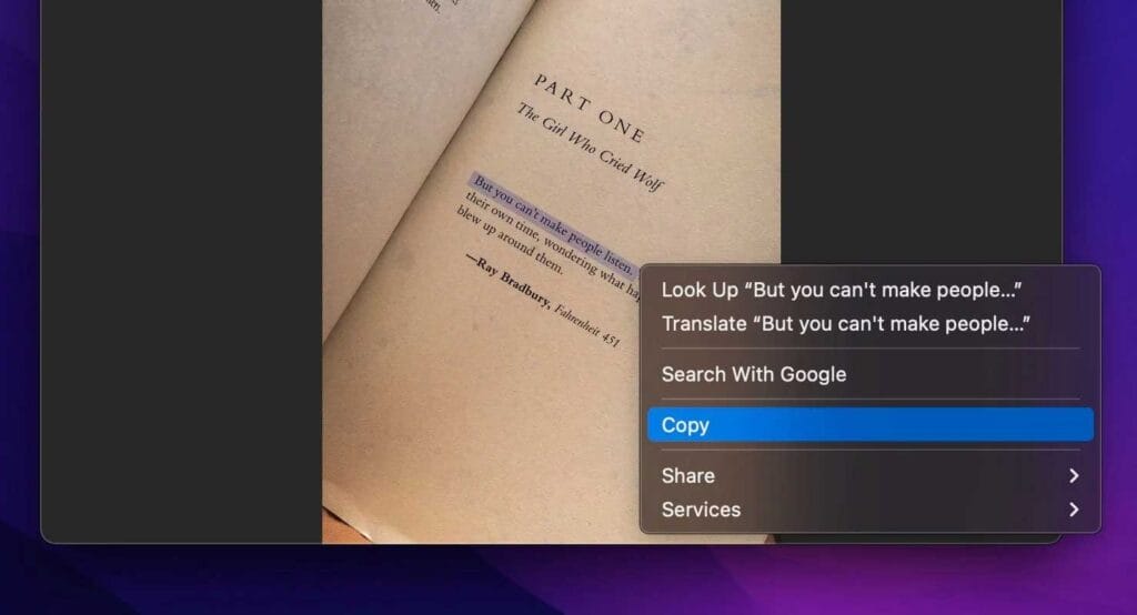 Cách tắt Live Text trên iPhone, iPad, Mac - 2
