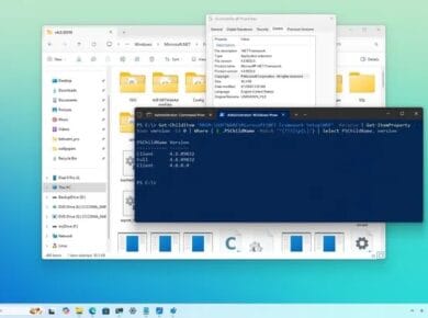 .NET Framework