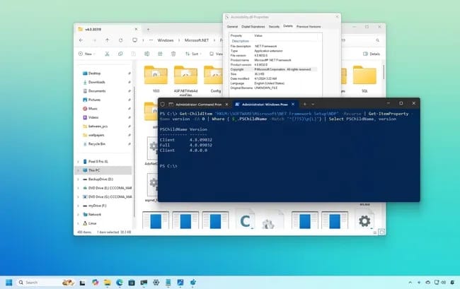 Cách kiểm tra phiên bản .NET Framework trên Windows 10 và 11