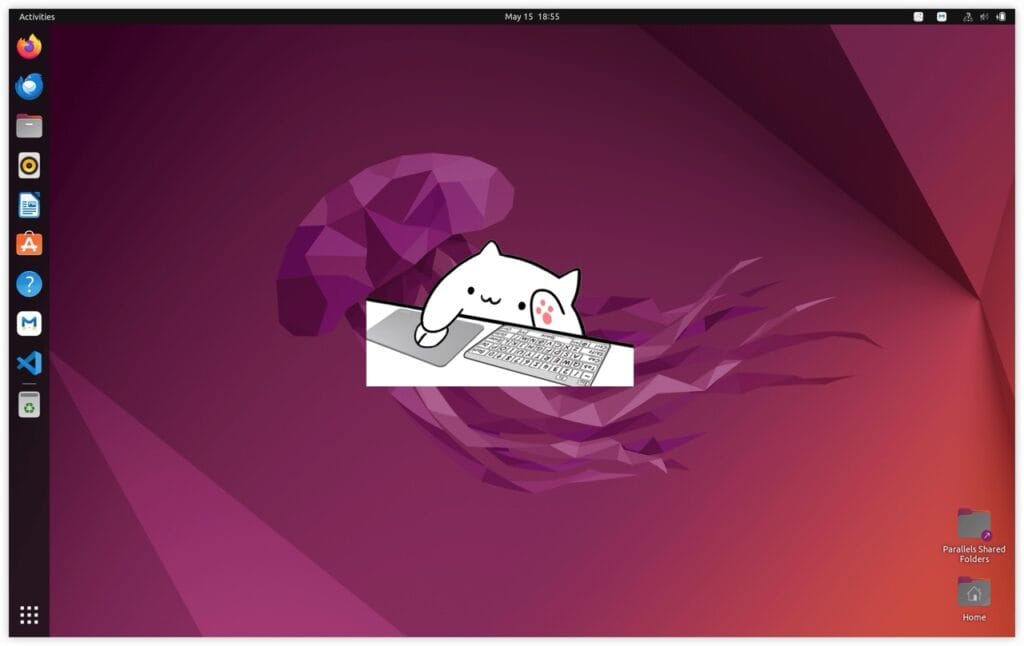 BongoCat - Chú Mèo Dễ Thương Biến Desktop Của Bạn Thành Sân Chơi Vui Nhộn! - 1