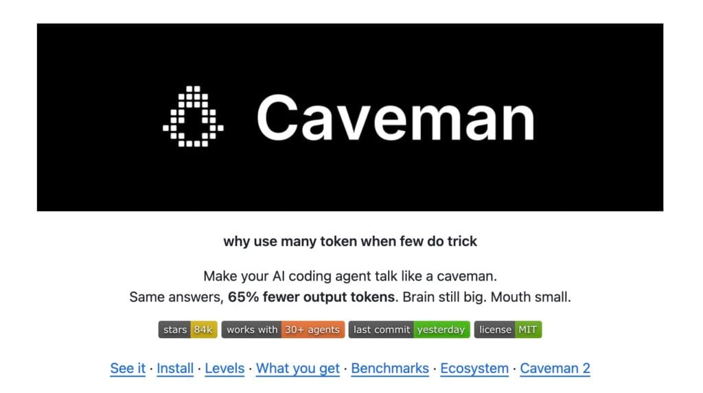 Caveman và Ponytail - Hai "nhân sự" bạn nên tuyển vào team khi Vibe Code - 1