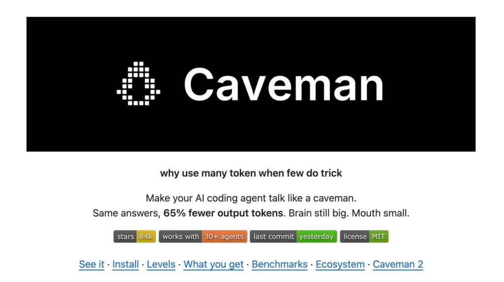 Caveman và Ponytail - Hai "nhân sự" bạn nên tuyển vào team khi Vibe Code - 1